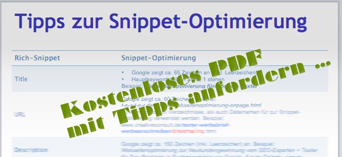Tipps zur Snippetoptimierung PDF